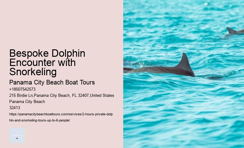 Dolphin Tours Jupiter Fl