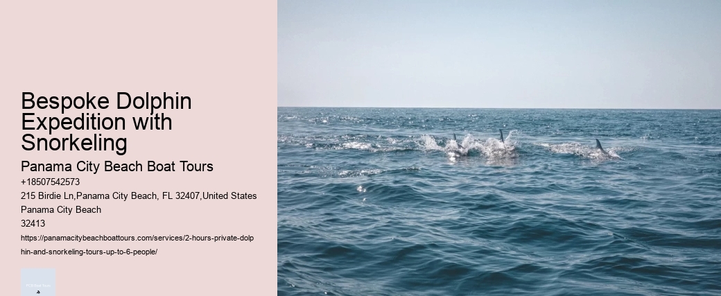 Bespoke Dolphin Expedition with Snorkeling