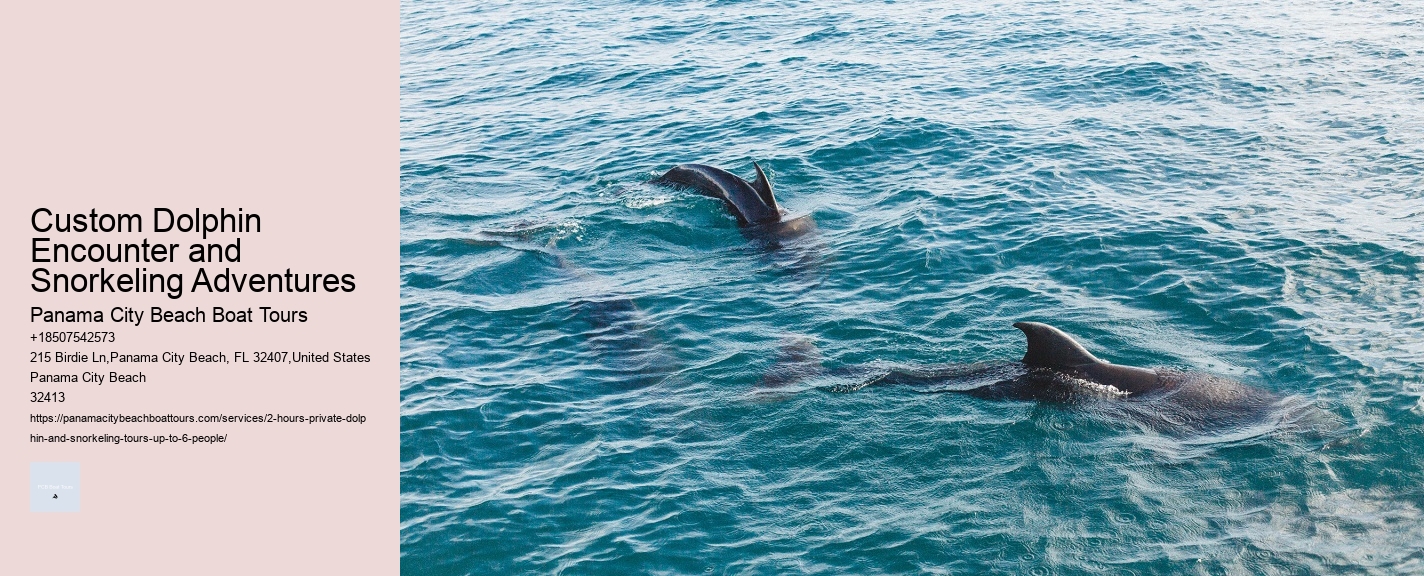 Custom Dolphin Encounter and Snorkeling Adventures