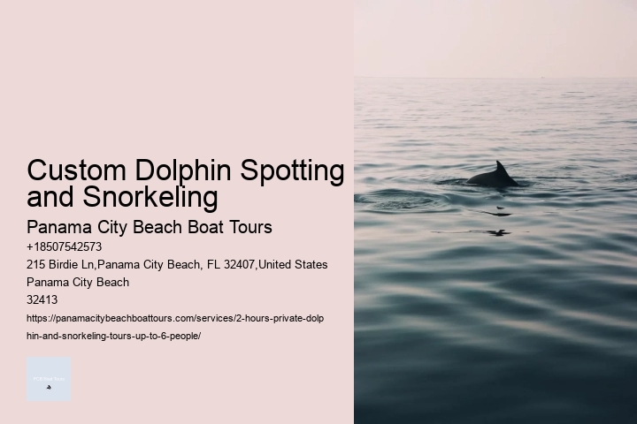 Venice Dolphin Tours