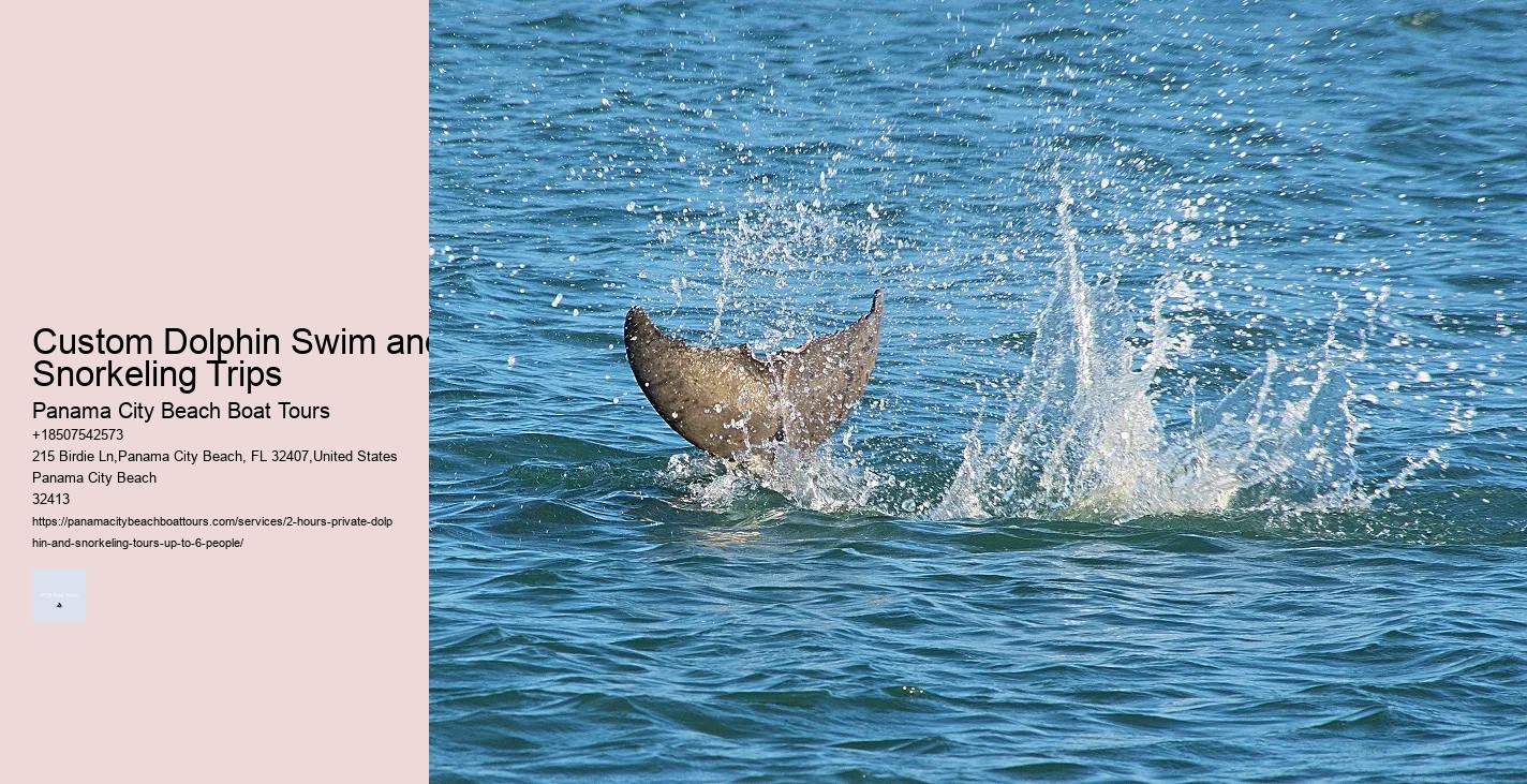 Dolphin Tours Edisto Island Sc