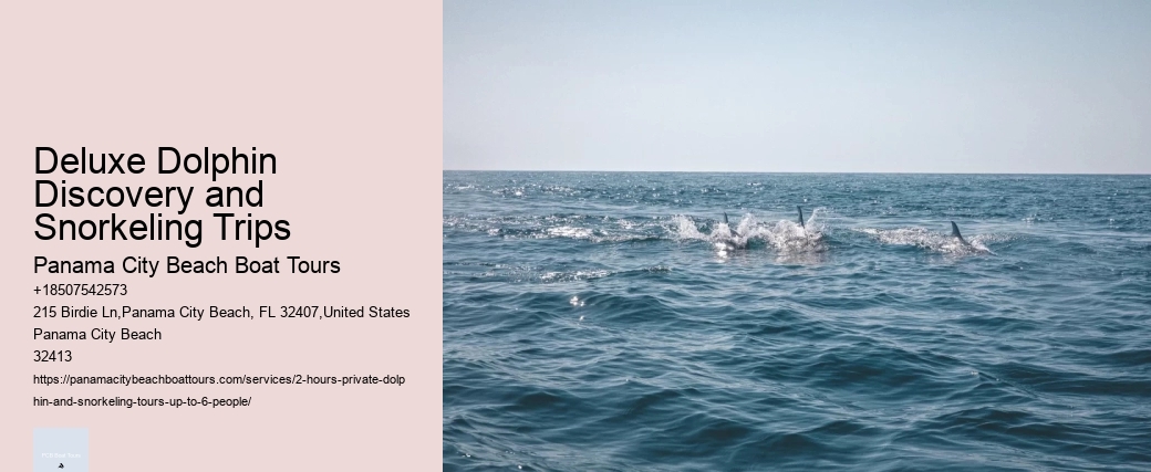 Carolina Beach Dolphin Tours