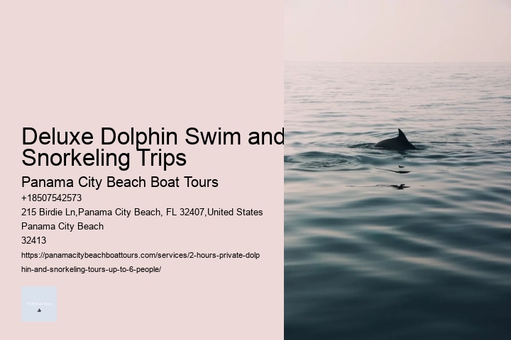 Deluxe Dolphin Swim and Snorkeling Trips
