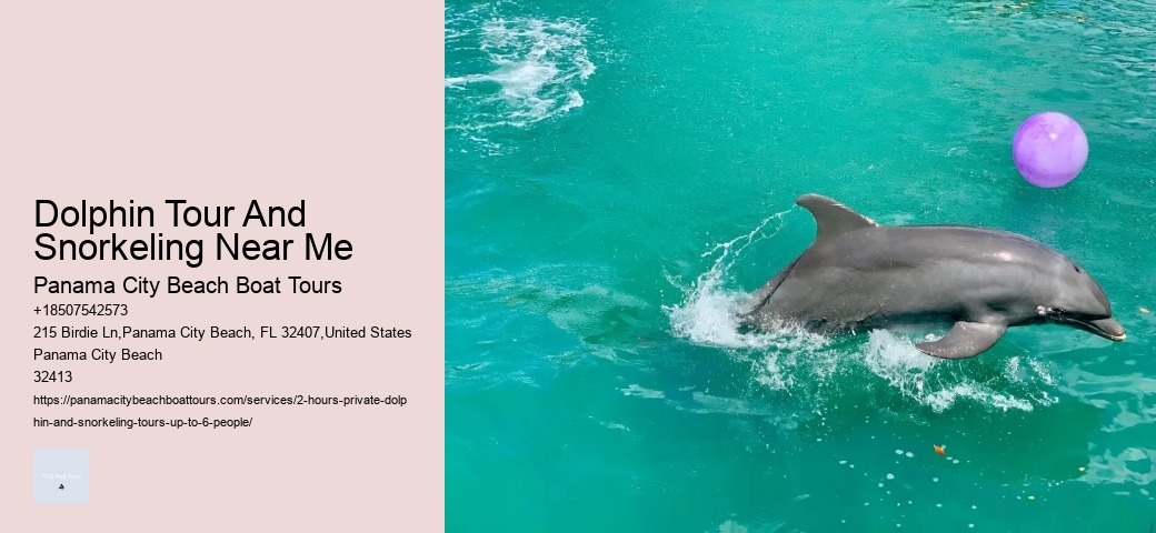 Dolphin Tours Longboat Key