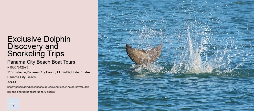 Exclusive Dolphin Discovery and Snorkeling Trips