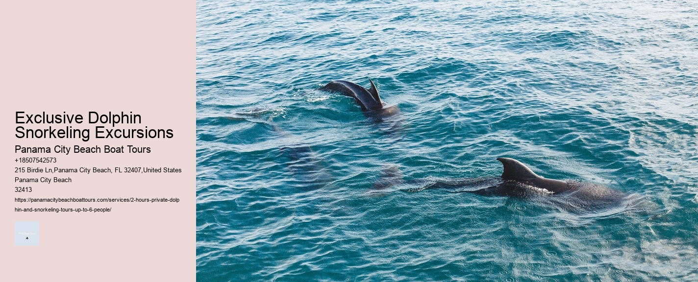 Exclusive Dolphin Snorkeling Excursions
