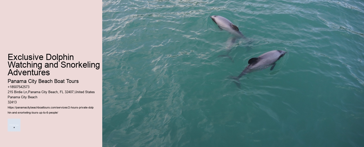 Exclusive Dolphin Watching and Snorkeling Adventures