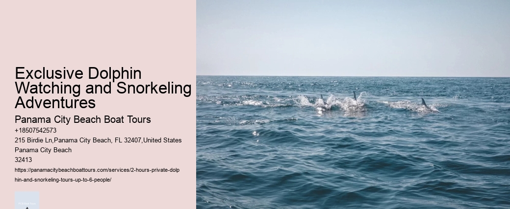 Galveston Beach Dolphin Tours