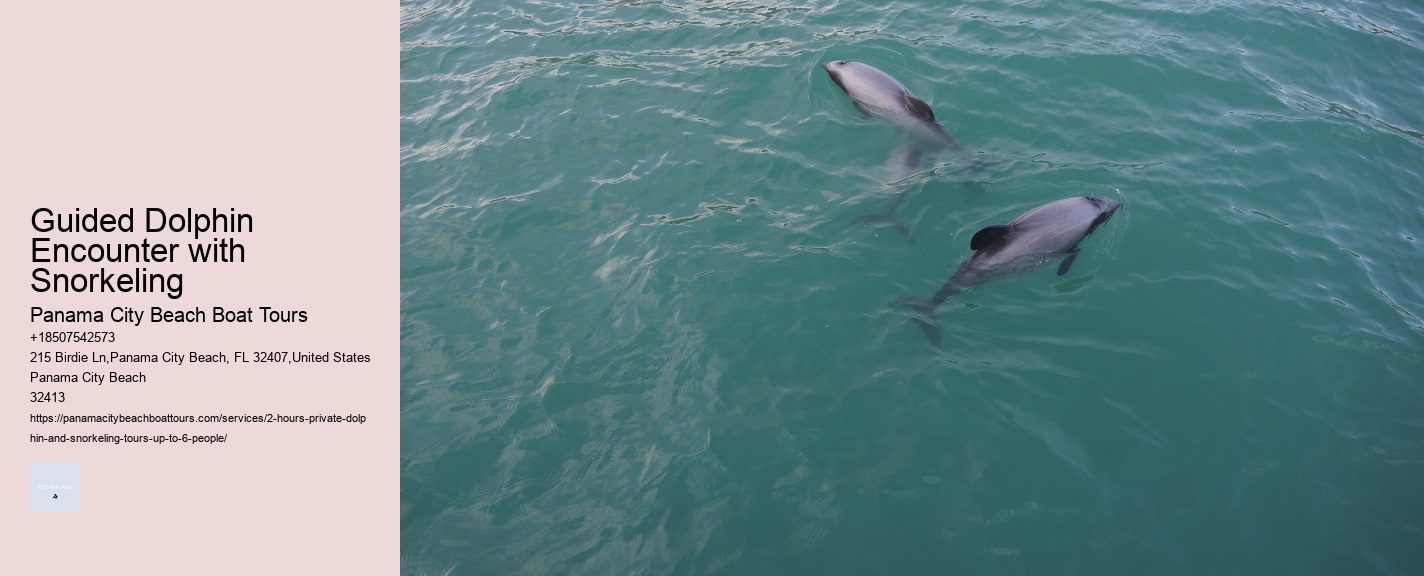 Guided Dolphin Encounter with Snorkeling