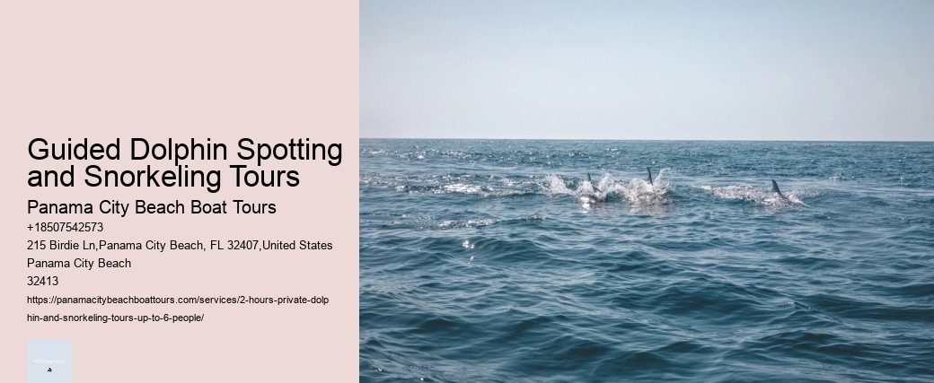 Dolphin Tours Panama City Beach Florida