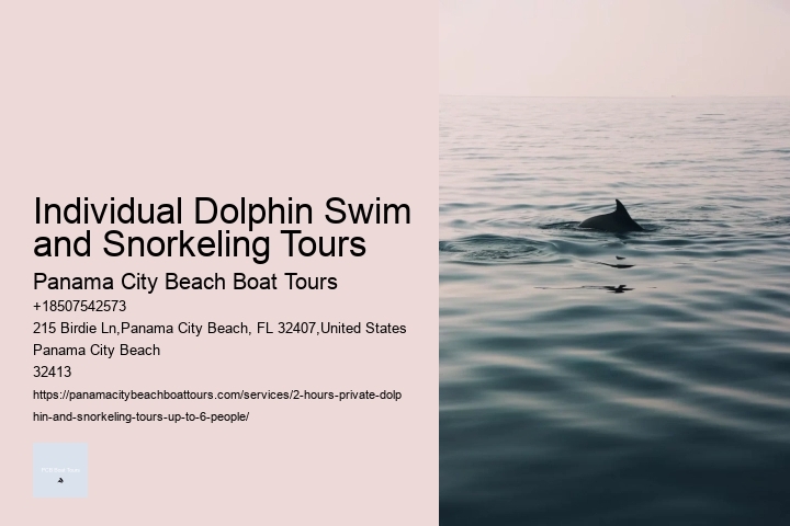 Individual Dolphin Swim and Snorkeling Tours