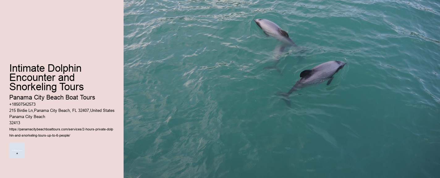 Intimate Dolphin Encounter and Snorkeling Tours