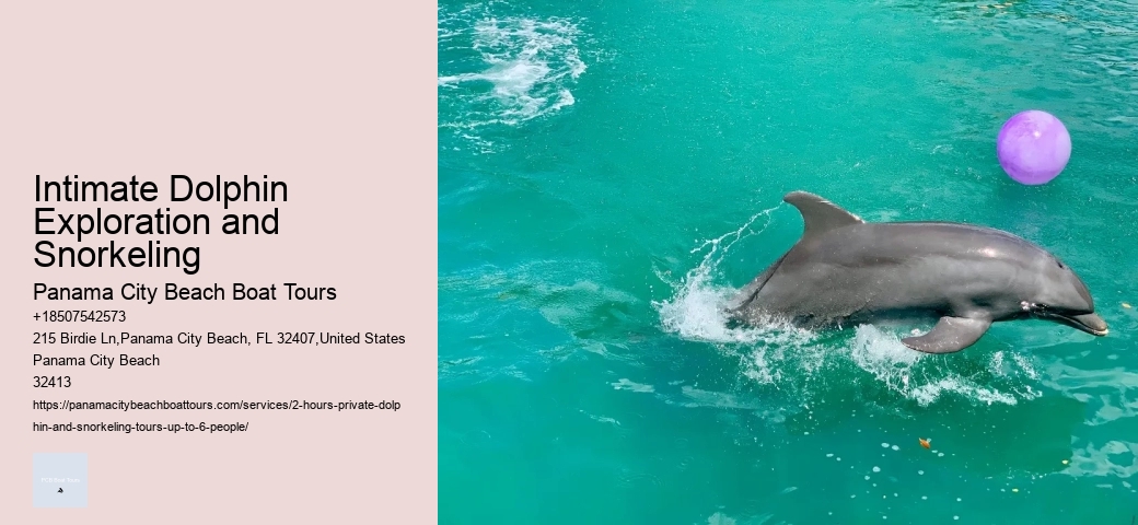 Dolphin Tours Aruba
