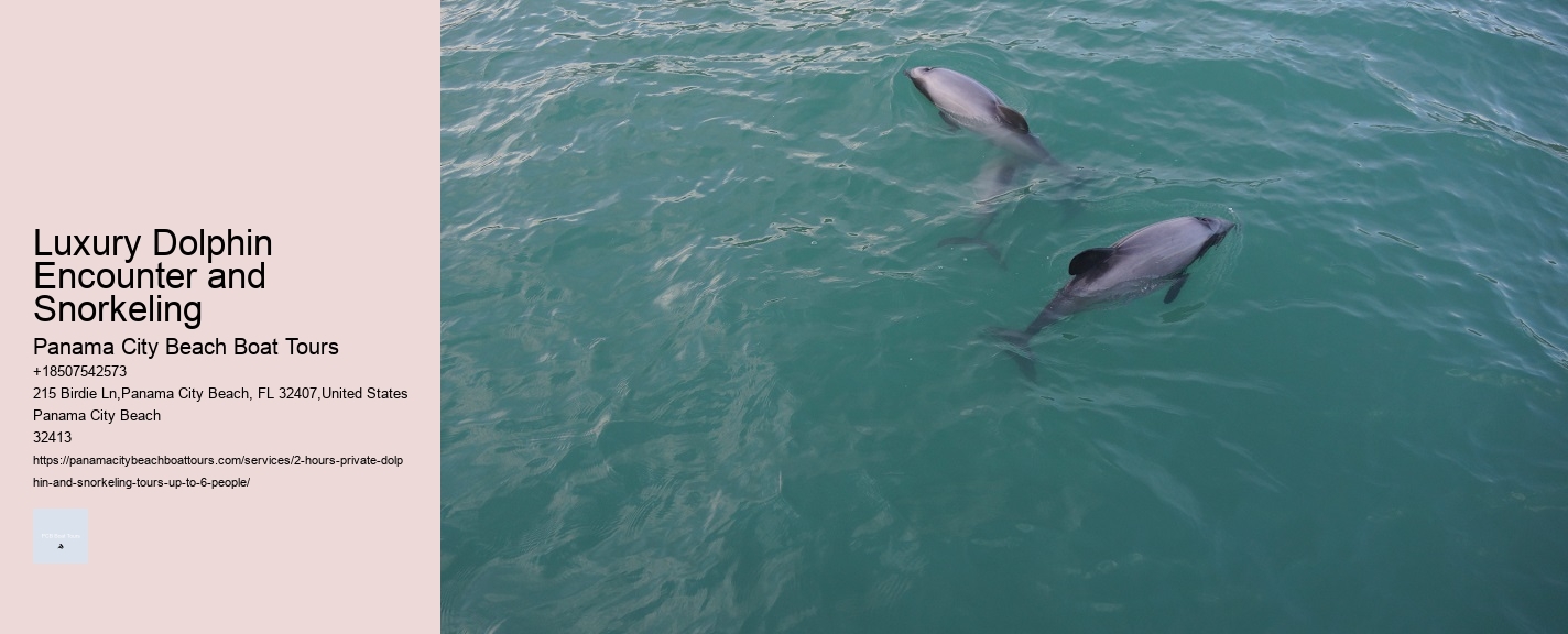 Luxury Dolphin Encounter and Snorkeling