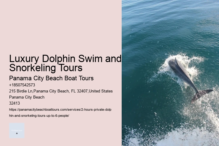 Dolphin Tours Goa