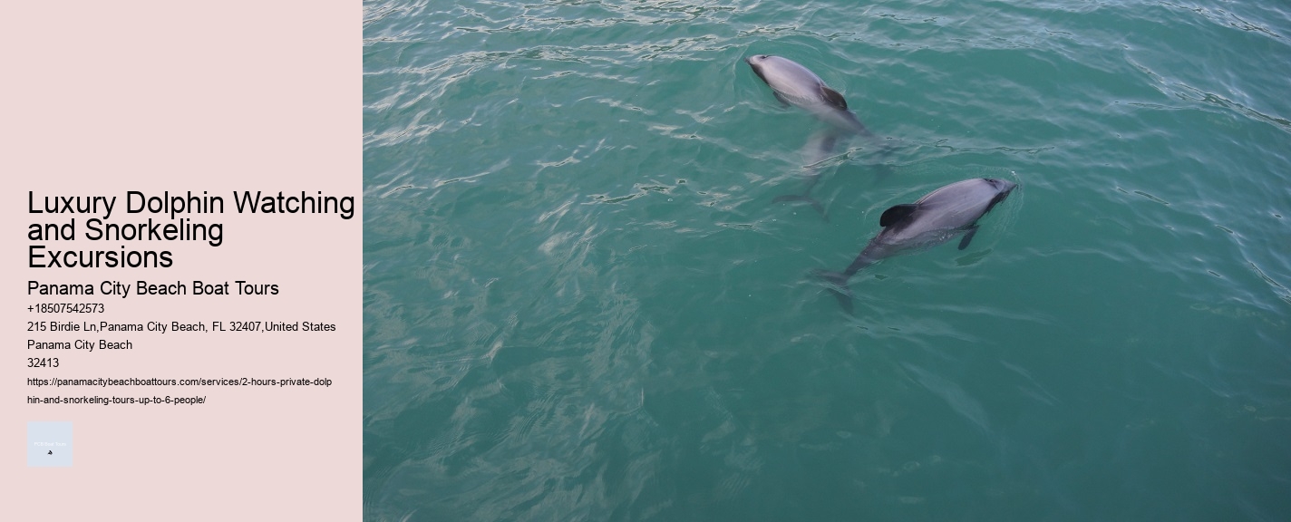 Luxury Dolphin Watching and Snorkeling Excursions
