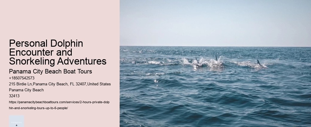 St Pete Beach Dolphin Tours