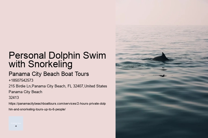 Personal Dolphin Swim with Snorkeling