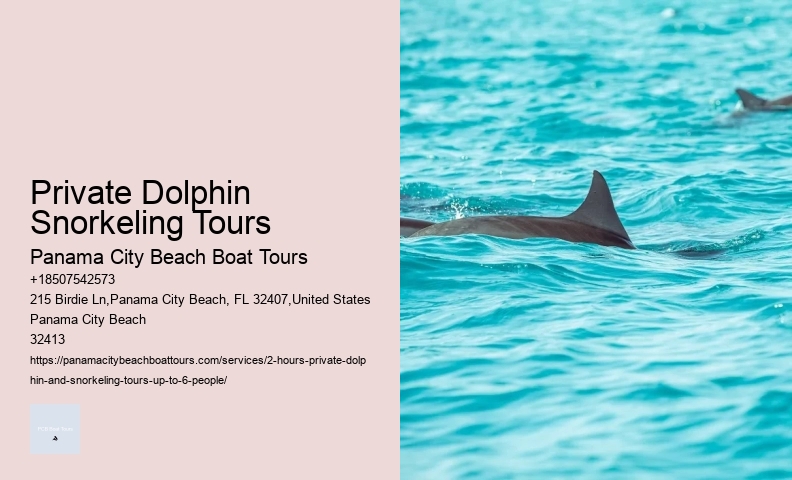 Tarpon Dolphin Tours