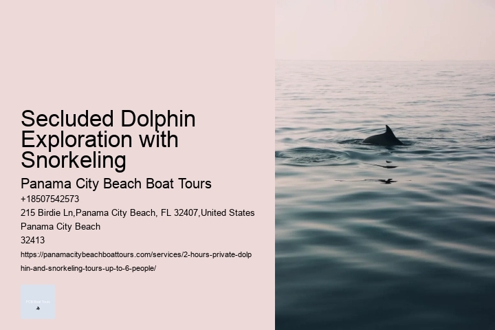 Secluded Dolphin Exploration with Snorkeling