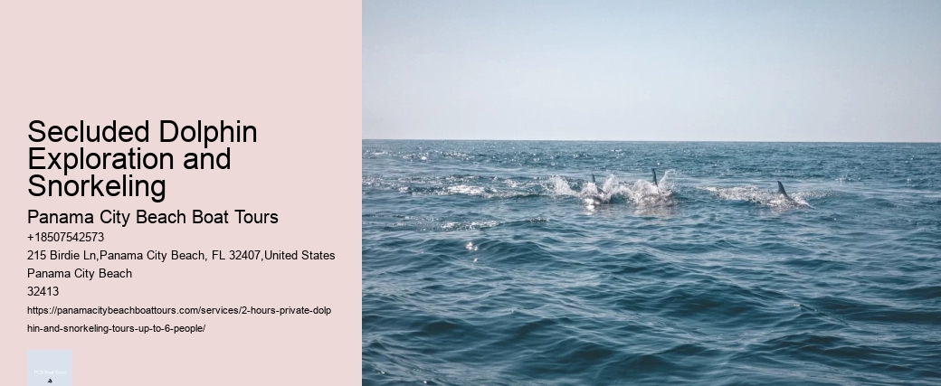 Secluded Dolphin Exploration and Snorkeling