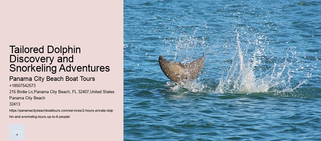 Dolphin Tour And Snorkeling Near Me
