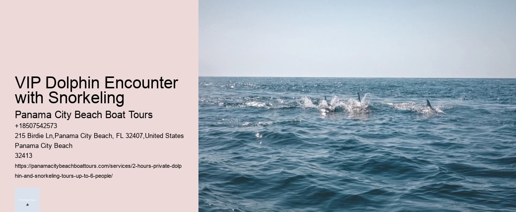 VIP Dolphin Encounter with Snorkeling